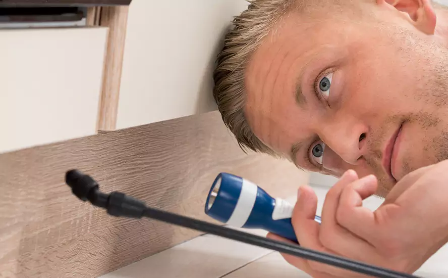 Top-Notch Pest Control in Royse City