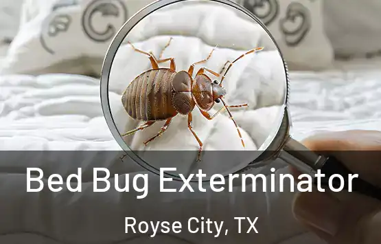  Bed Bug Exterminator Royse City, TX