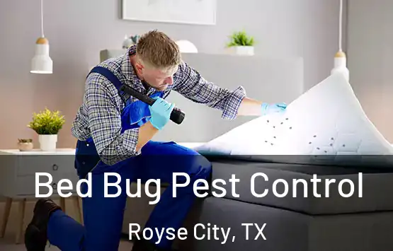  Bed Bug Pest Control Royse City, TX