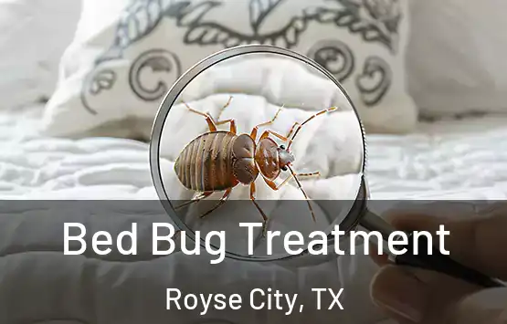  Bed Bug Treatment Royse City, TX