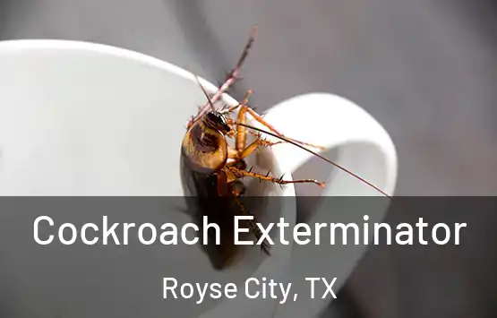  Cockroach Exterminator Royse City, TX
