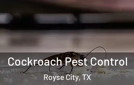  Cockroach Pest Control Royse City, TX
