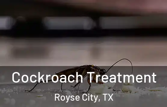  Cockroach Treatment Royse City, TX