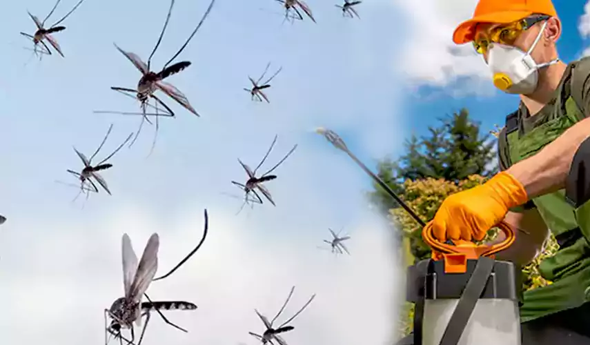 Mosquito Pest Control in Royse City, TX