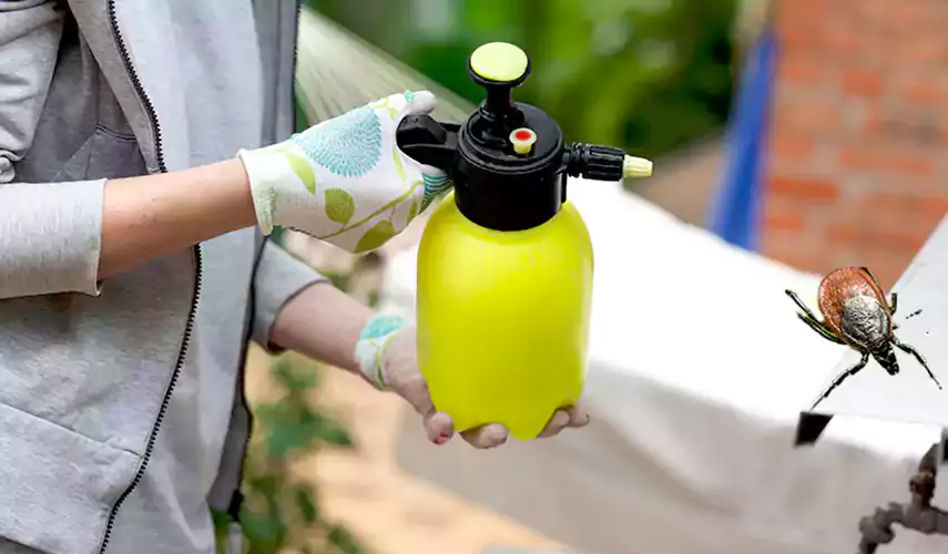 Ticks Pest Control Royse City, Texas