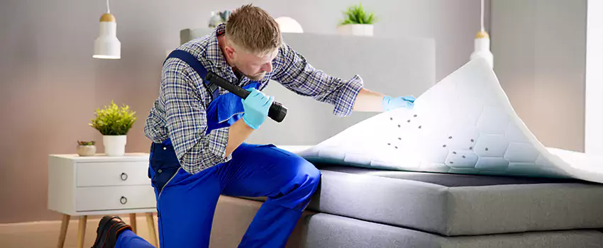 bed-bug-treatment in Royse City, TX