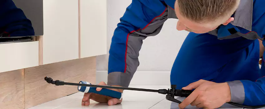 Ant Control for Bedrooms in Royse City, TX