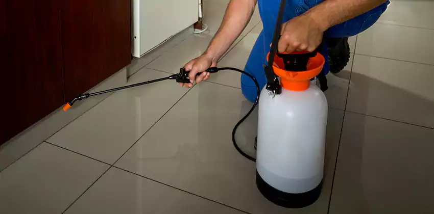 Commercial Pest Extermination for Offices in Royse City, TX