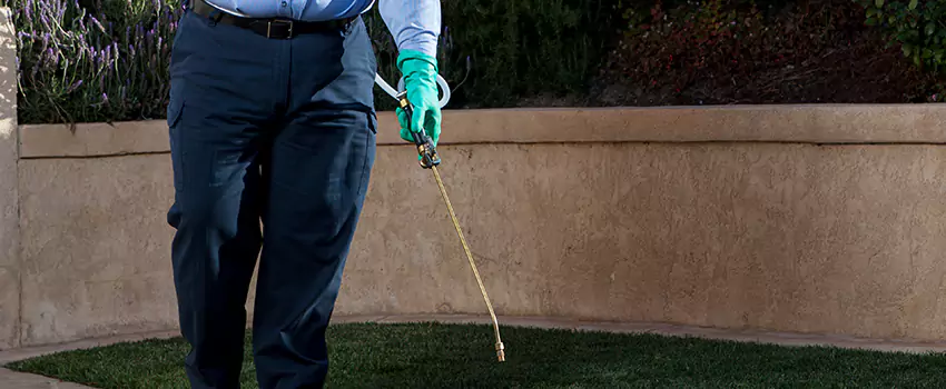 Emergency Pest Extermination for Children and Pets Royse City, TX