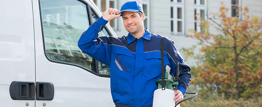 Organic and Chemical Spider Control Options Royse City, TX