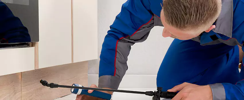 Termite Control for Children and Pets in Royse City, TX