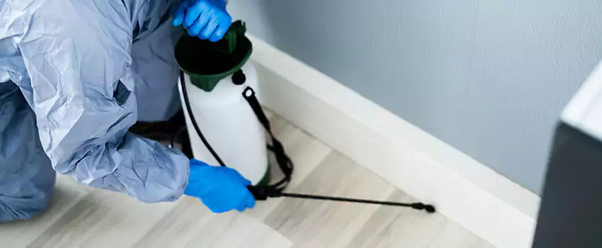 cockroach-exterminator in Royse City, TX