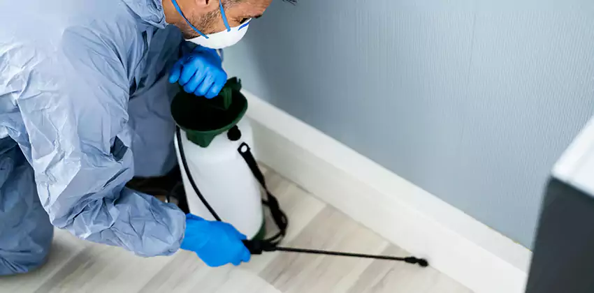 commercial-pest-exterminator in Royse City, TX