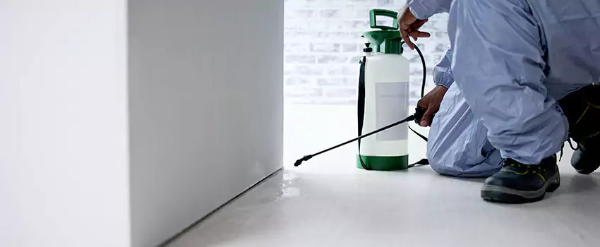 residential-pest in Royse City, TX