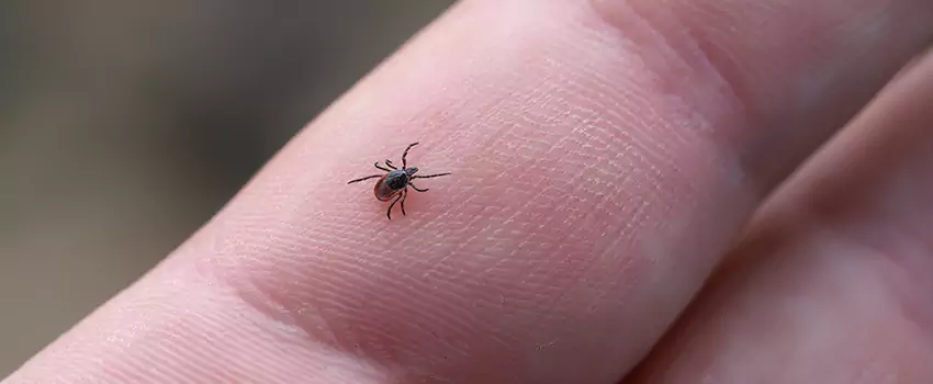 tick-control in Royse City, TX