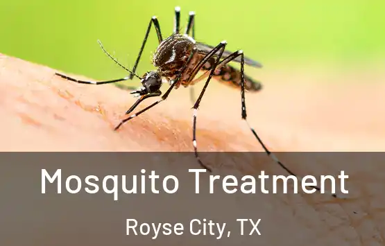  Mosquito Treatment Royse City, TX