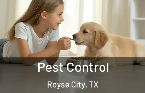 Pest Control Royse City, TX
