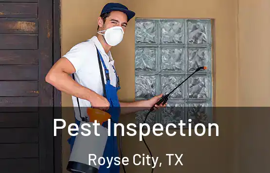  Pest Inspection Royse City, TX