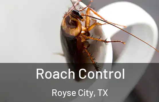  Roach Control Royse City, TX