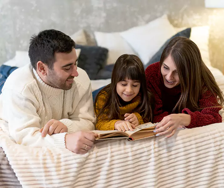 About Bed Bug Pest Control Royse City