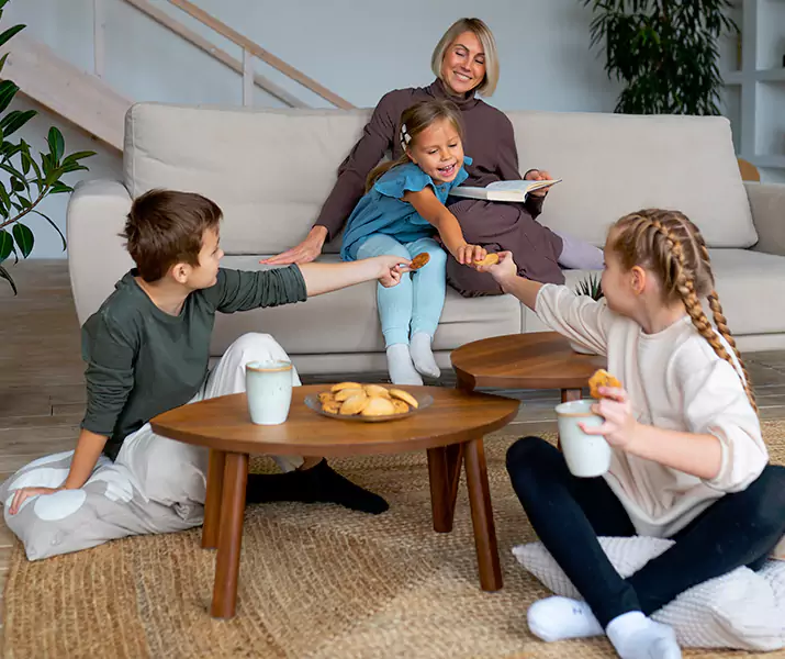 About Spider Exterminator Royse City