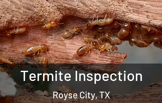  Termite Inspection Royse City, TX