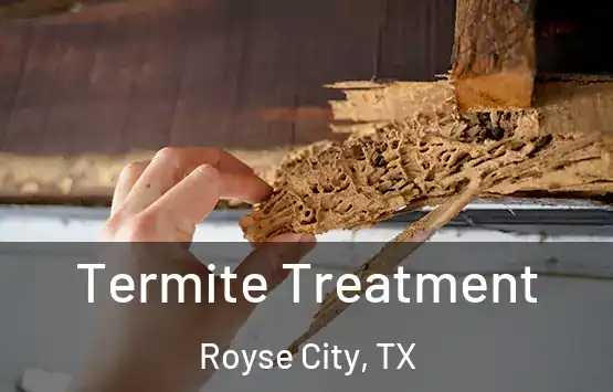  Termite Treatment Royse City, TX
