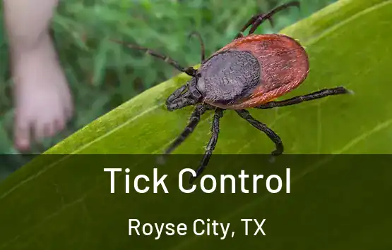  Tick Control Royse City, TX