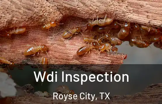  Wdi Inspection Royse City, TX